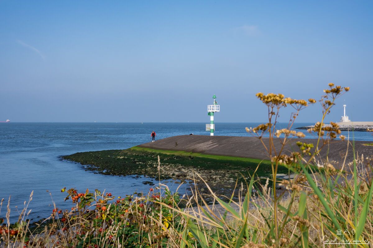 den-helder-mer-wadden