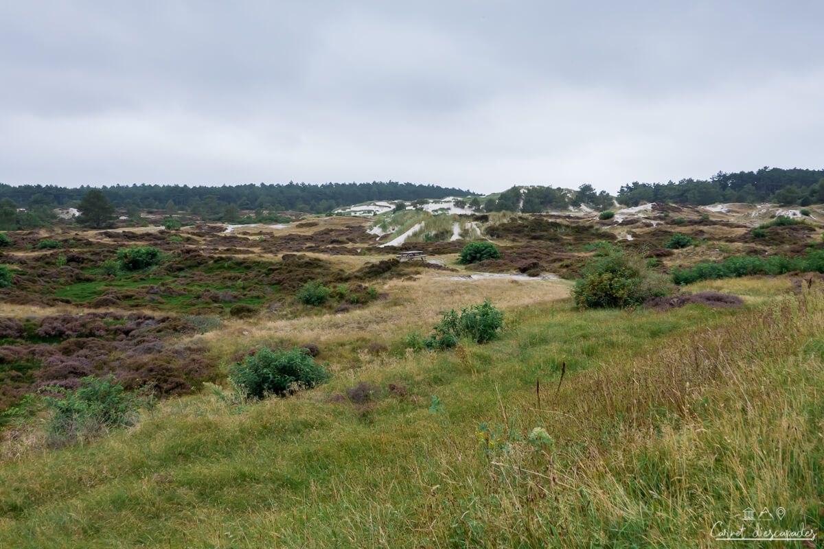 dunes-hollande