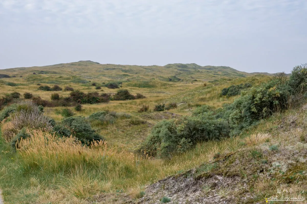 dunes-parc-national-texel