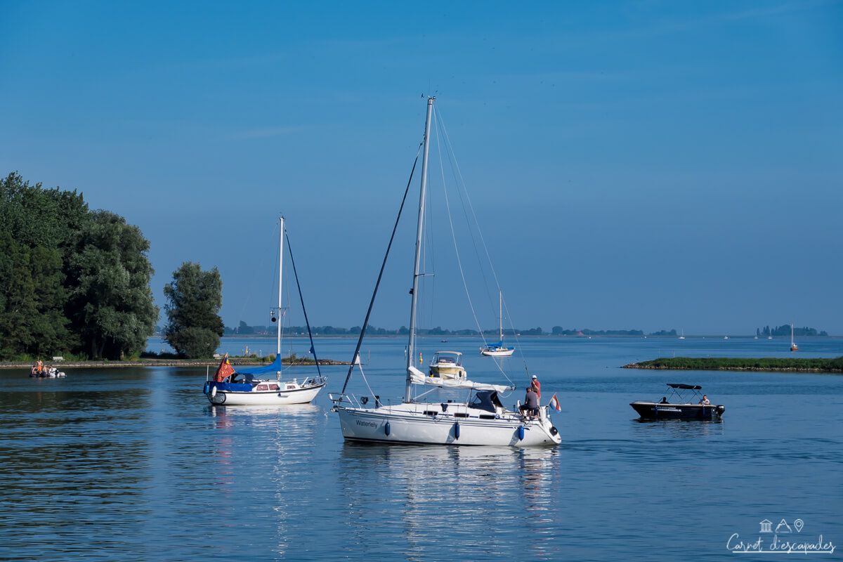 lac-marken