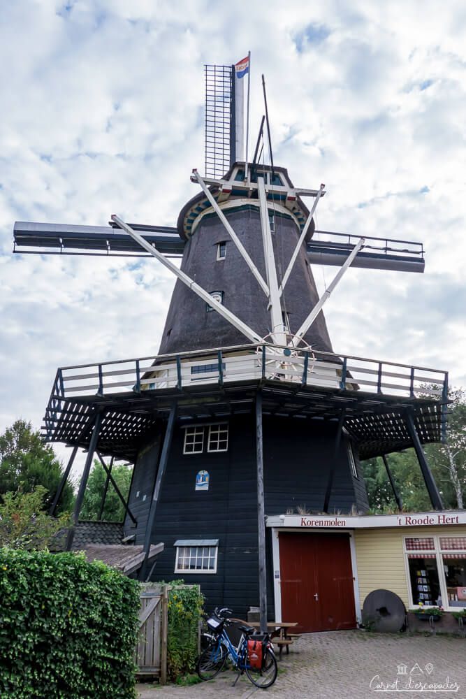 moulin-roode-hert-alkmaar