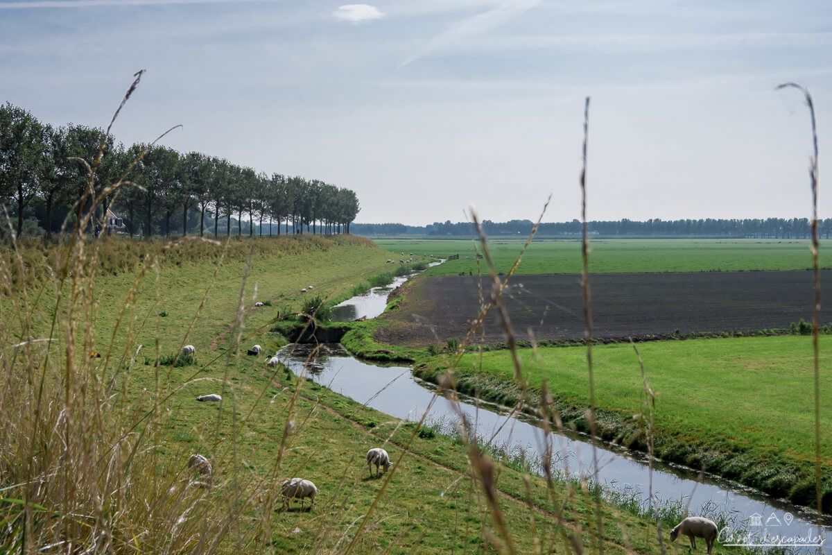 paysage-hollande