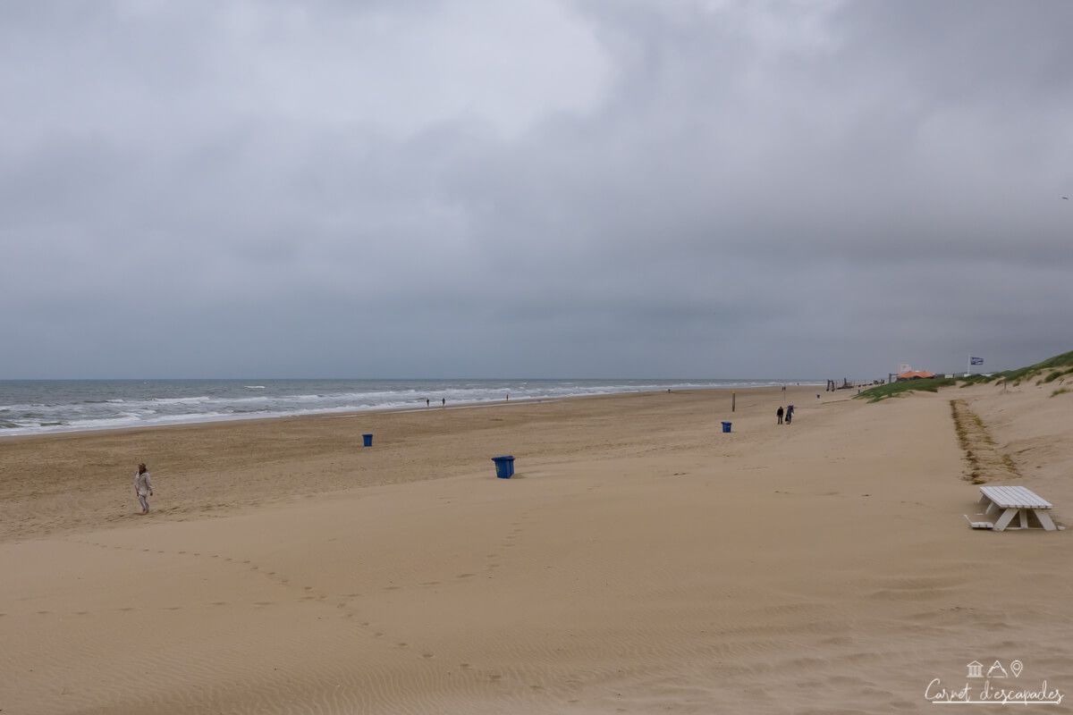 plage-bergen-aan-zee