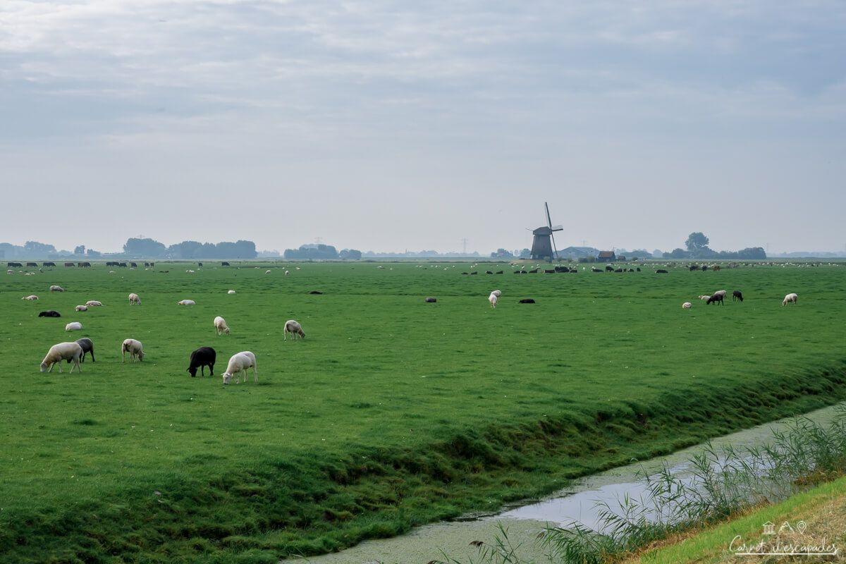 polder-hollande