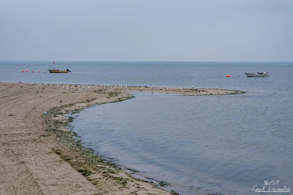 texel-mer-wadden