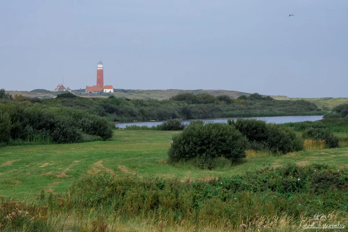 texel-phare