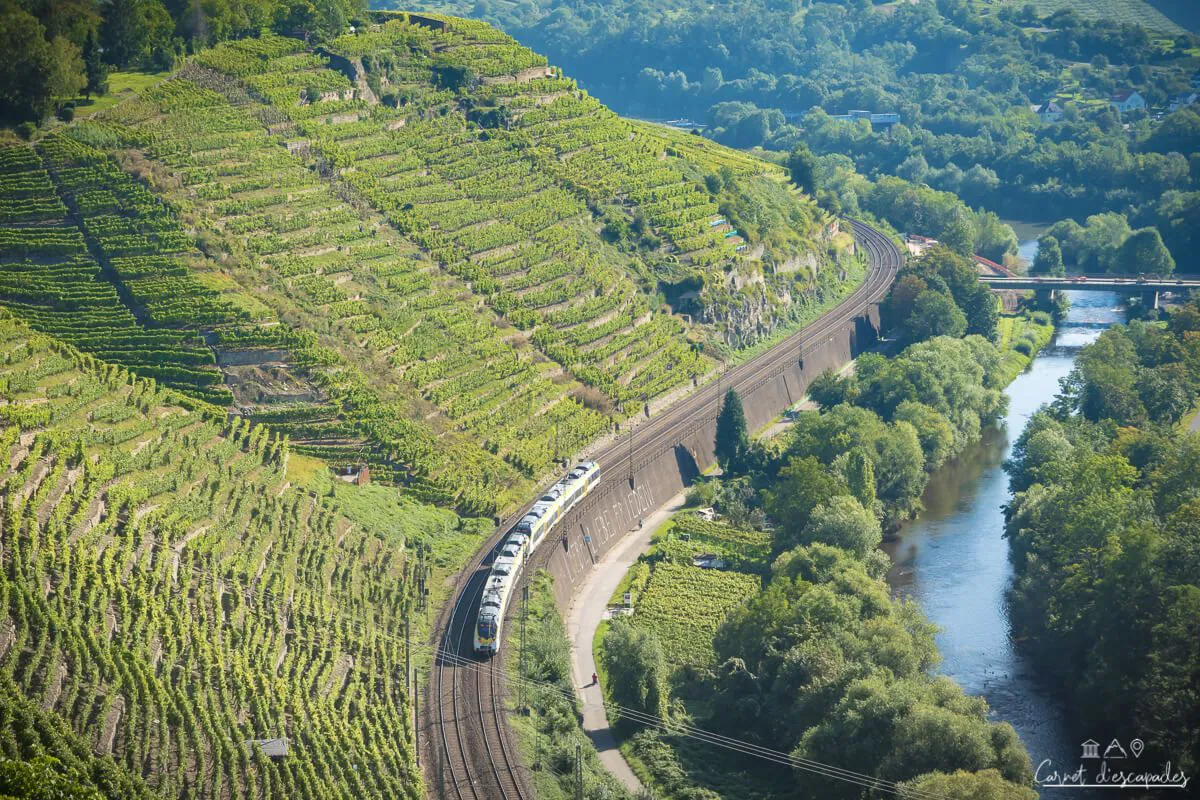 train-vignes-allemagne