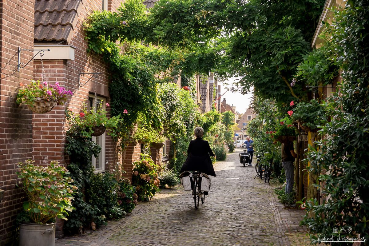 velo-alkmaar