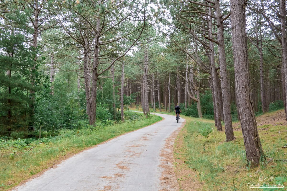 velo-foret-hollande