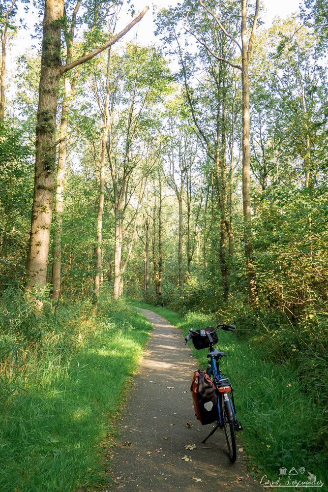 velo-foret