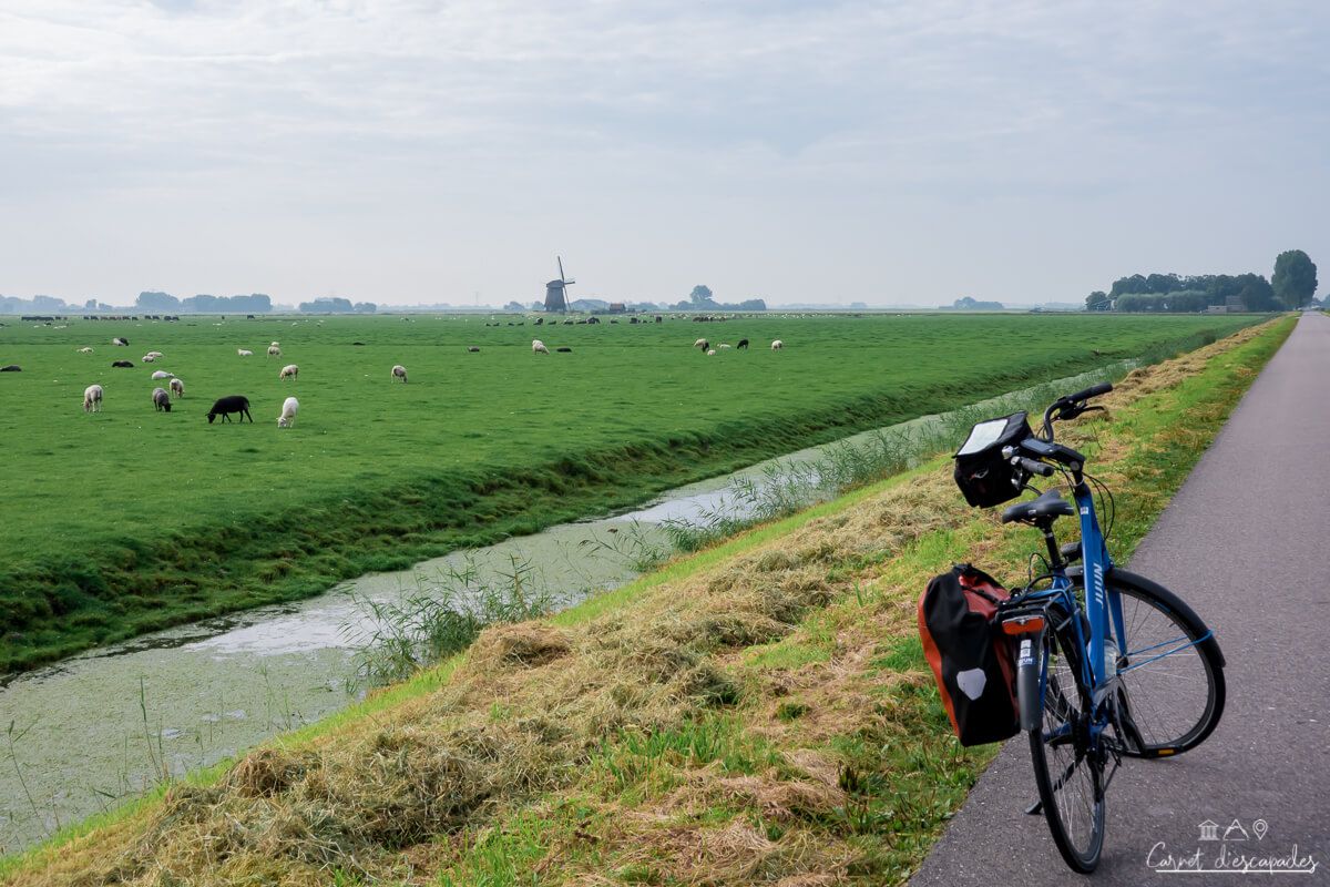 velo-polder-pays-bas