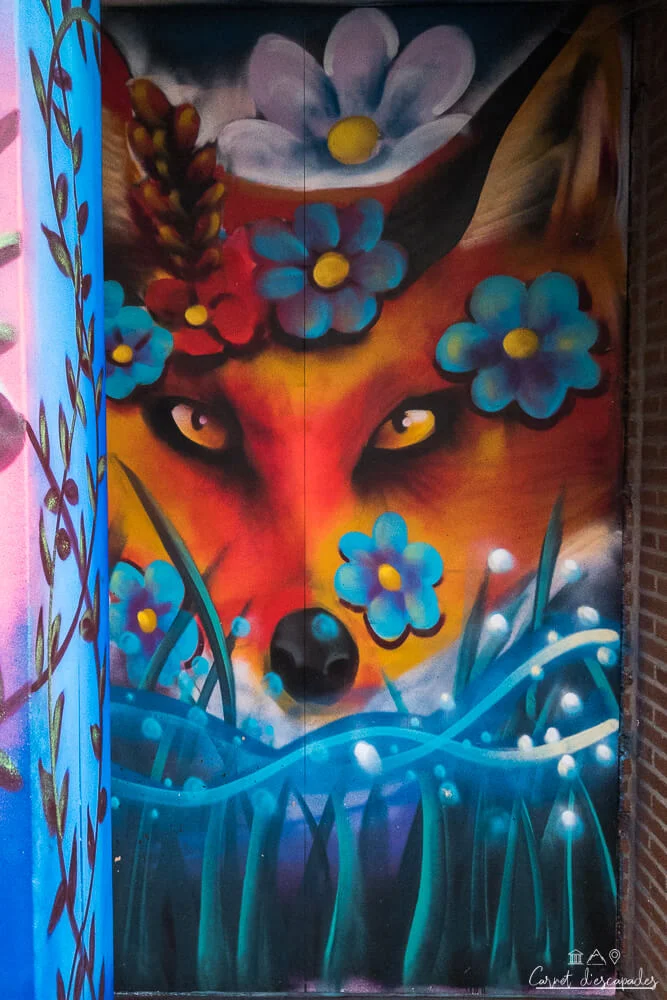 namur-street-art