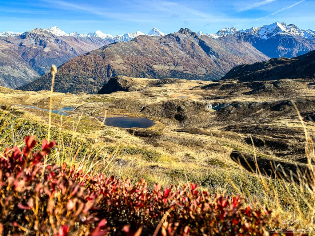 gouilles-essertze-automne