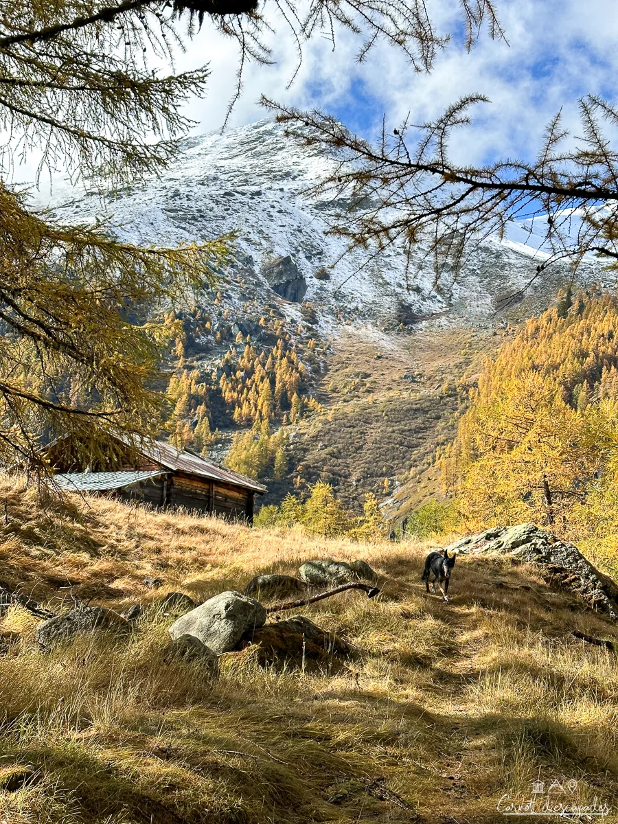 rando-automne-val-herens
