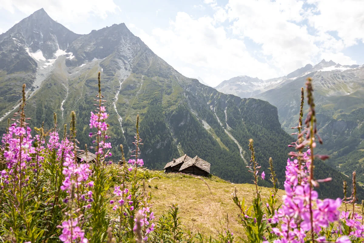 randonnee-ete-val-herens
