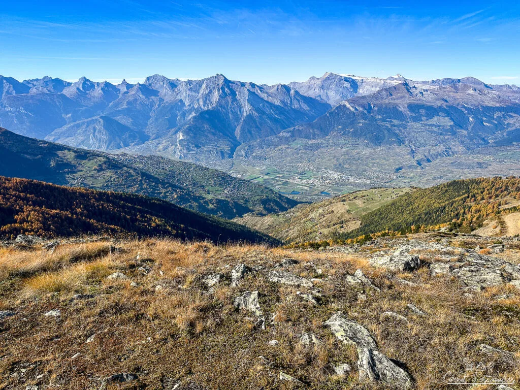 vue-sion