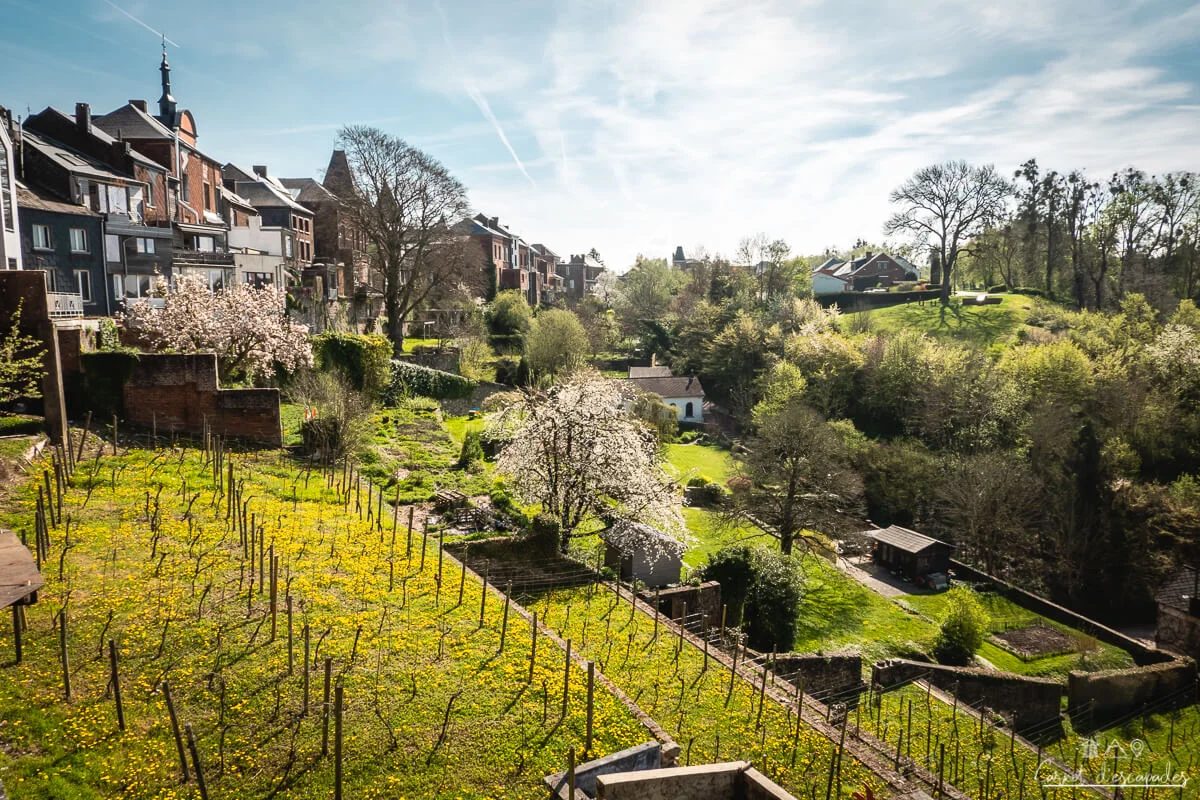 jardins-suspendus-vignes-thuin