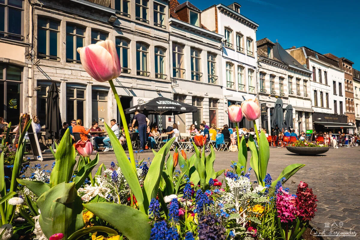 mons-printemps
