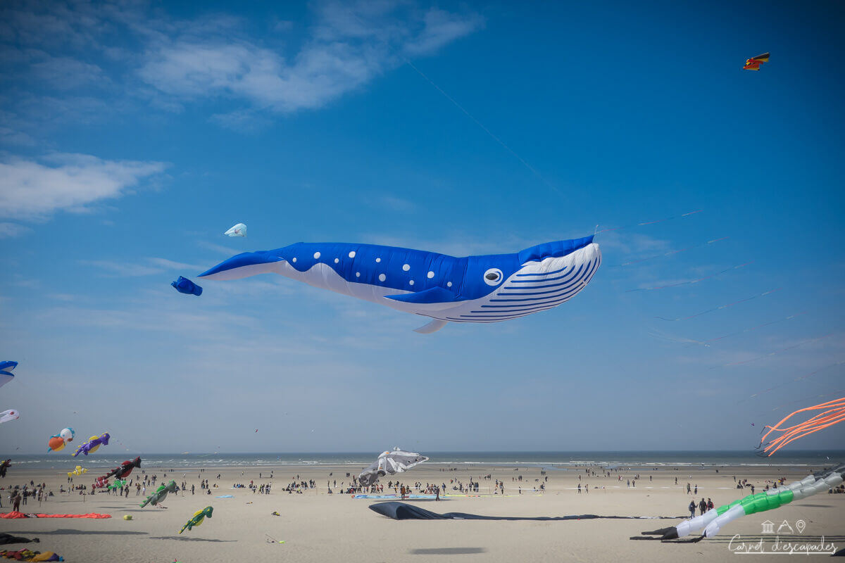 berck-cerf-volant