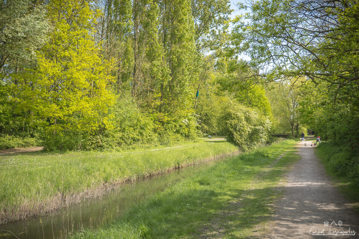 chemin-campagne