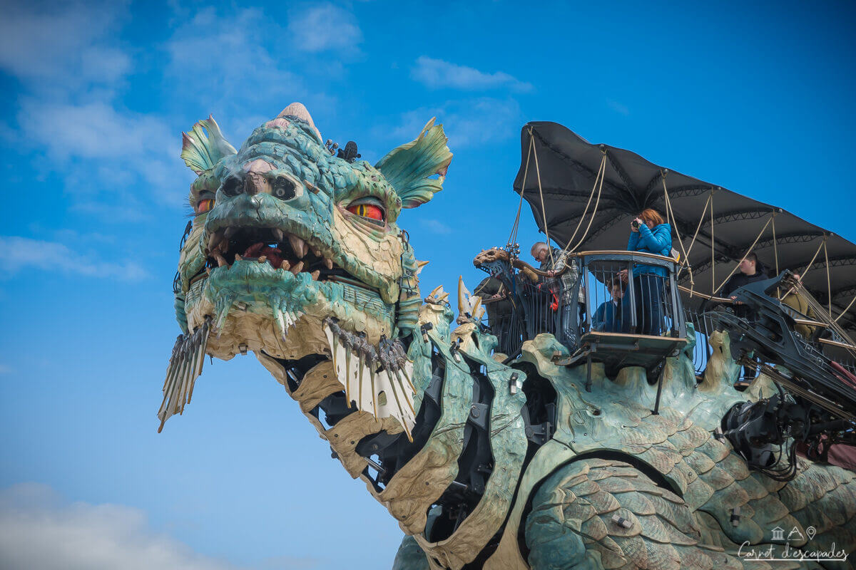 dragon-calais-tete