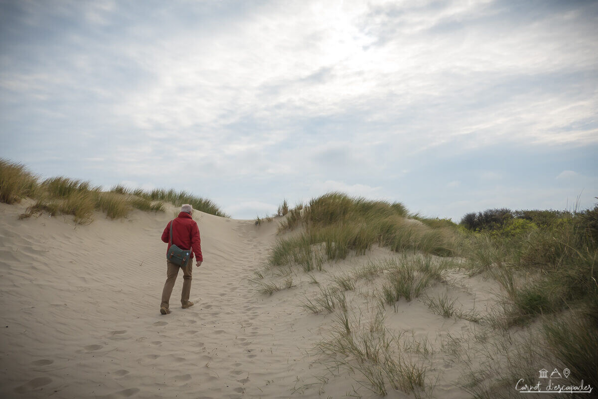 dune-marchand-zuydcoote