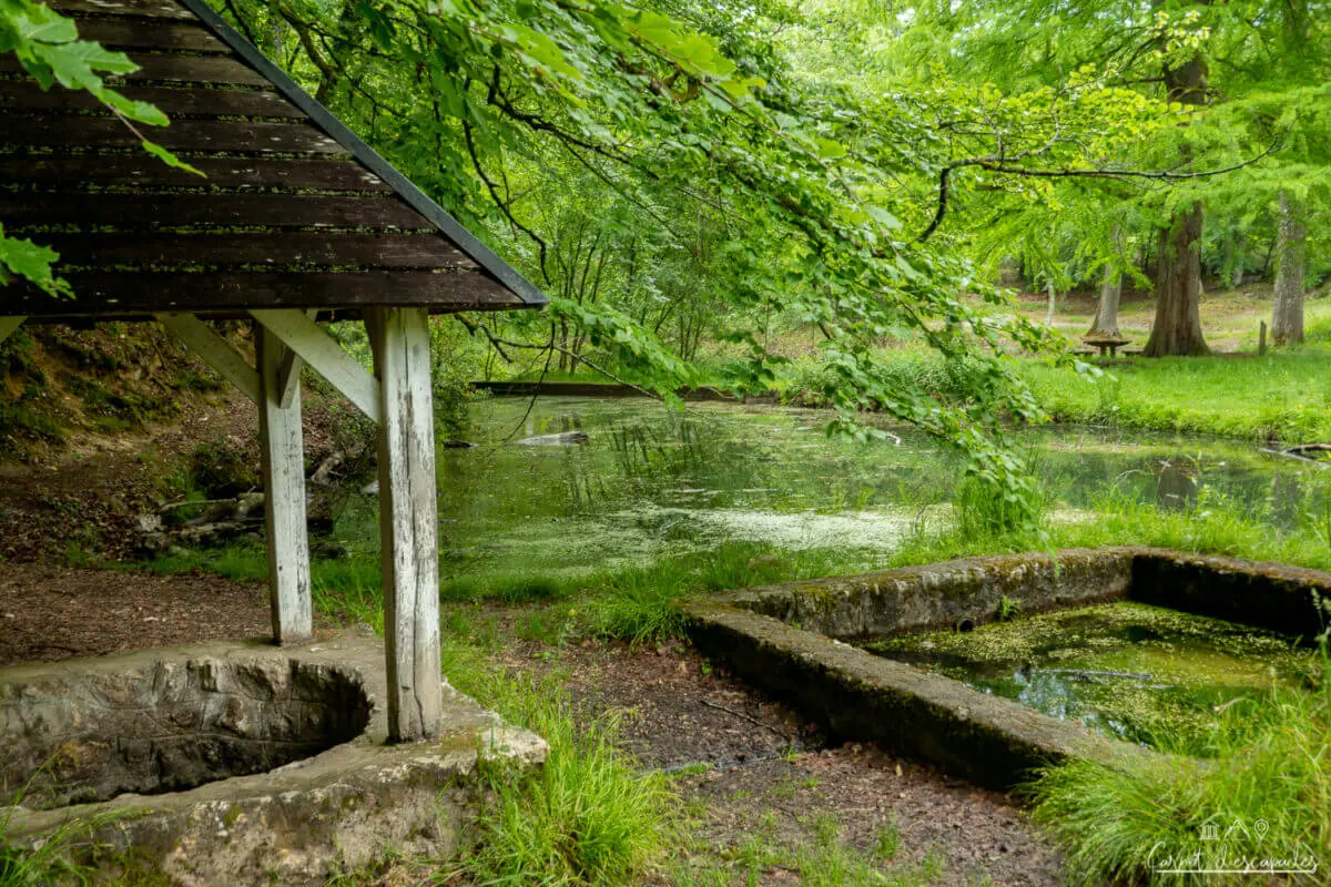 fontaine-coudre-foret-berce