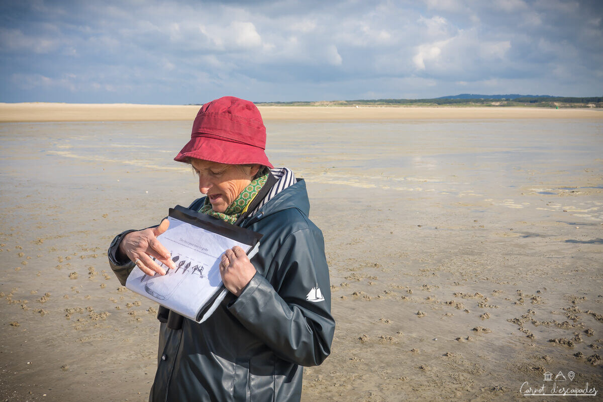 guide-nature-baie-canche
