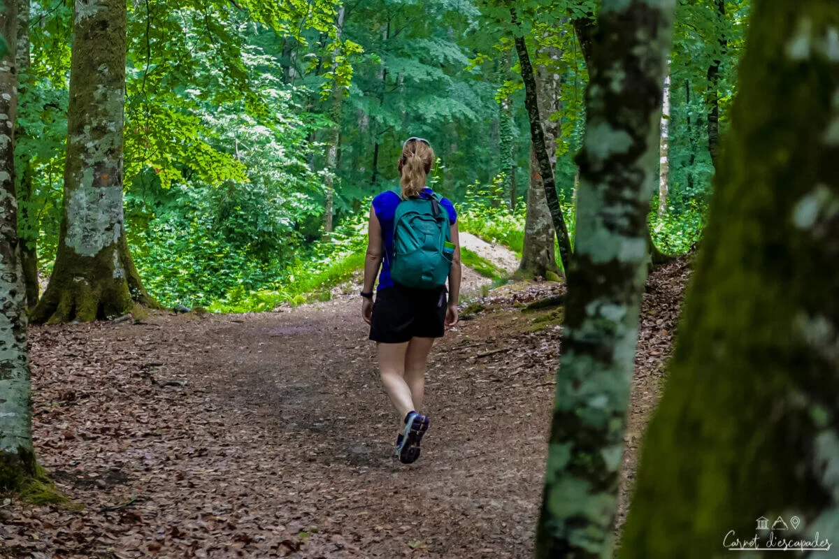 laurene-rando-foret-berce