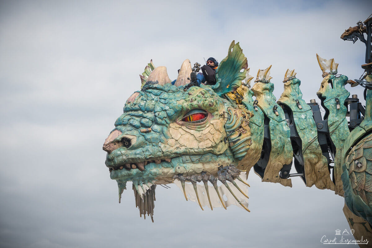 machine-calais-dragon