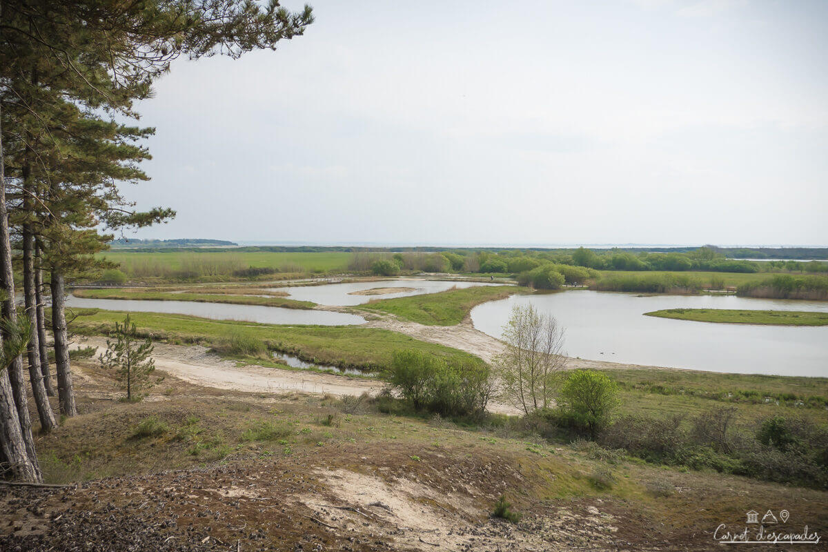 parc-marquenterre
