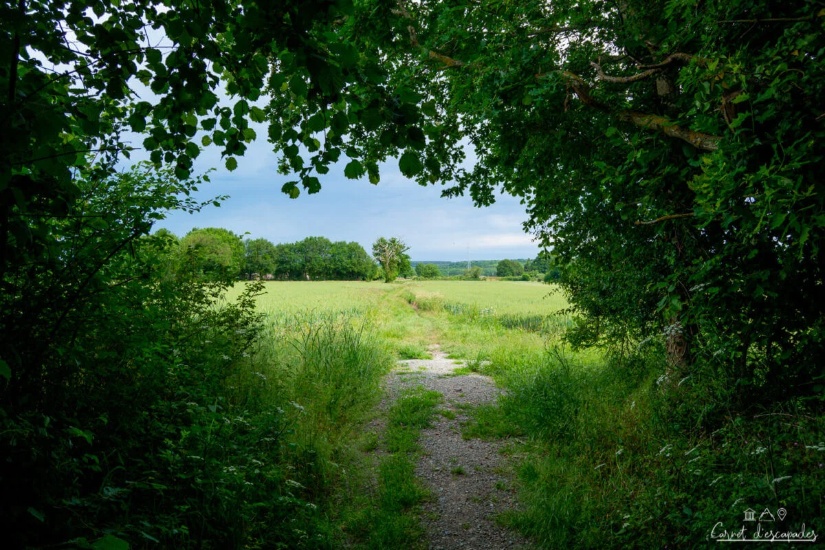 parcours-trail-bocage-narais