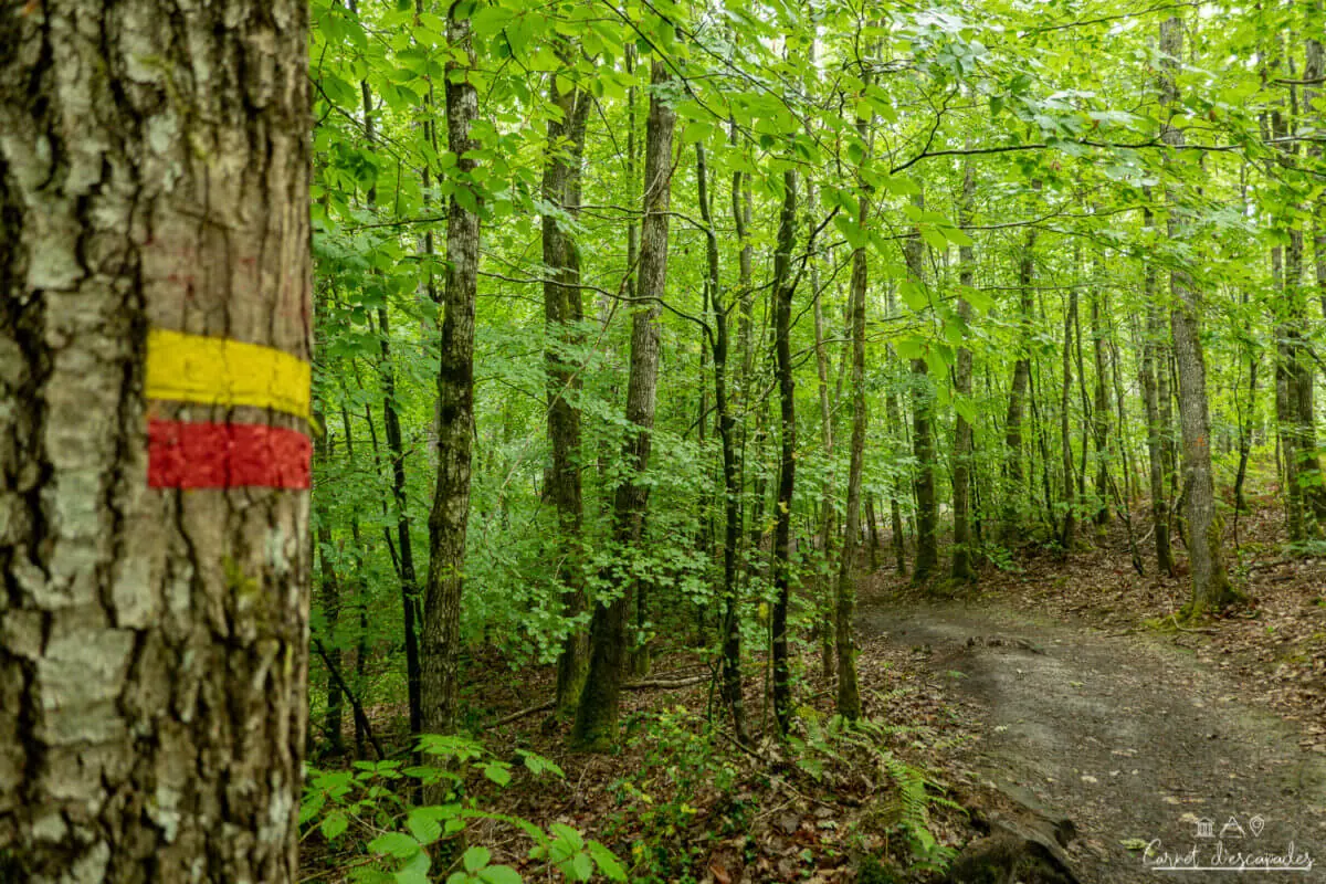 rando-foret-berce