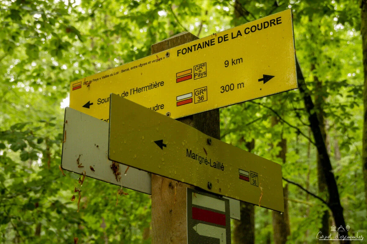 randonnee-foret-berce-panneaux