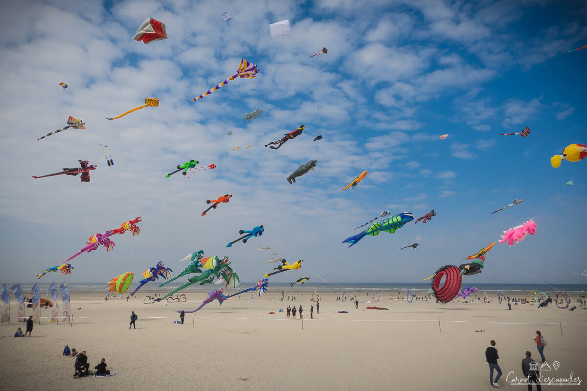 rencontres-internationales-cerfs-volants-berck