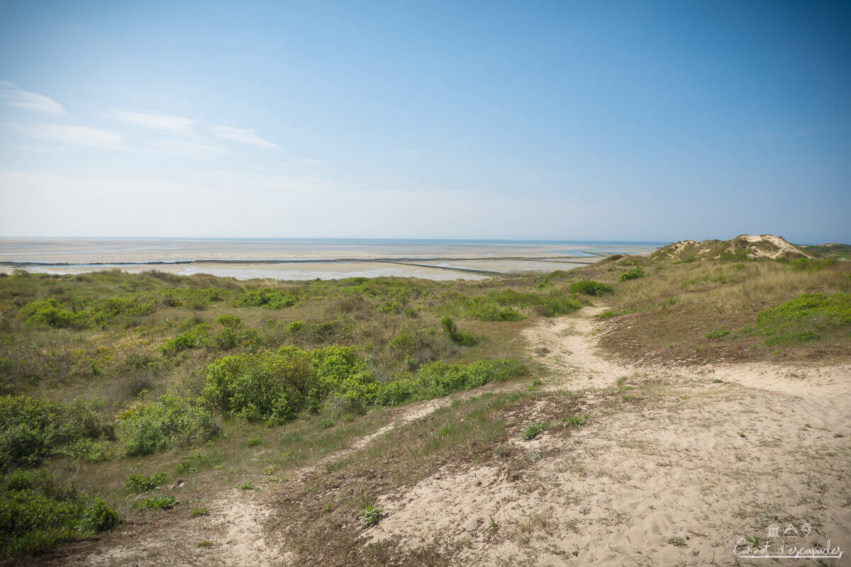 sentier-baie-authie-berck