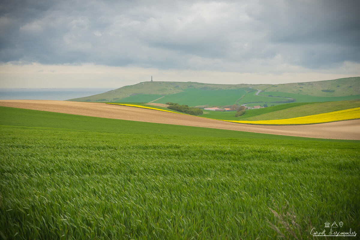vue-cap-blanc-nez-champs