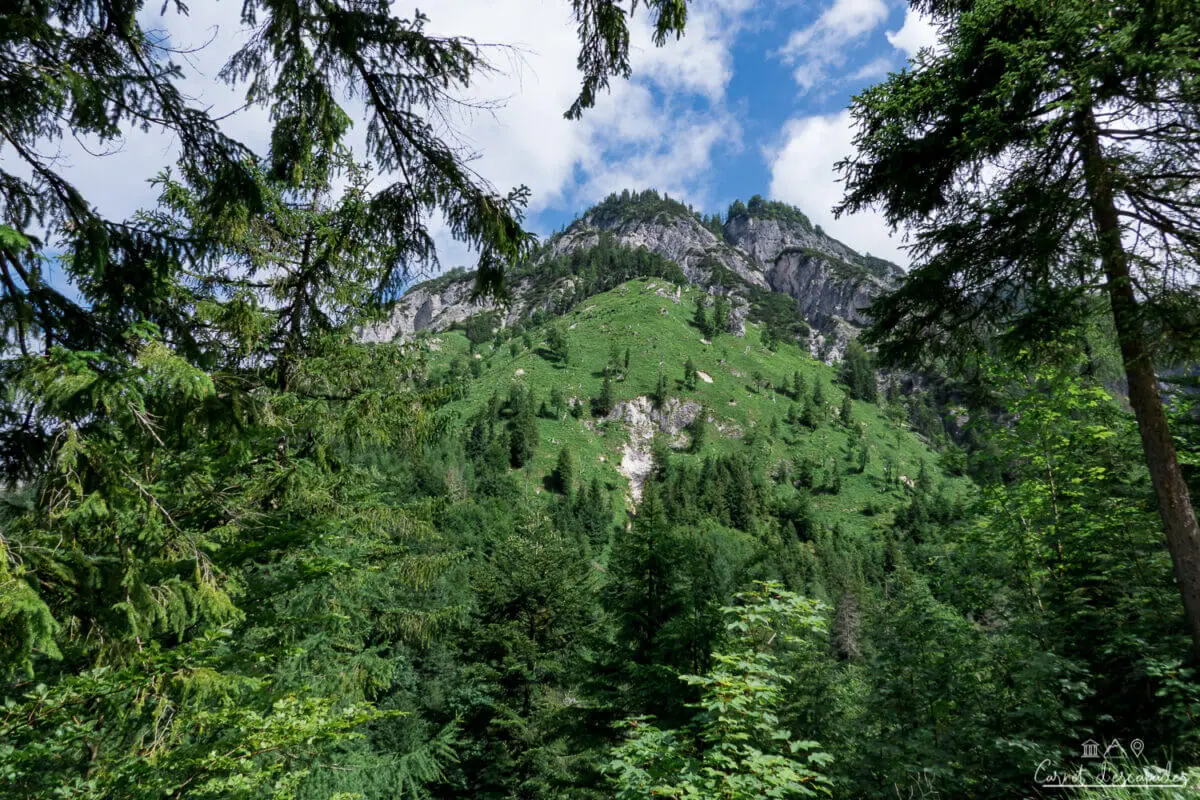 baerenpfad-salzkammergut