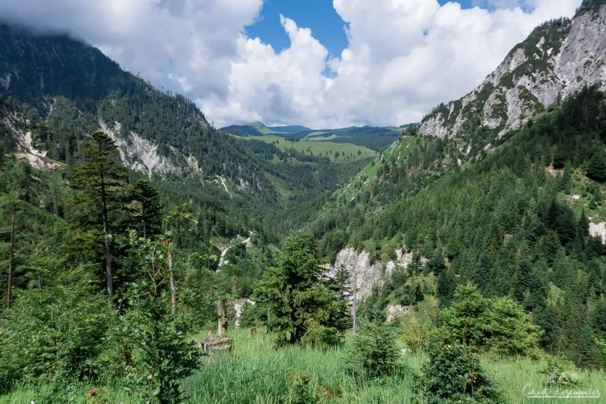 baerenpfadkogel-salzkammergut