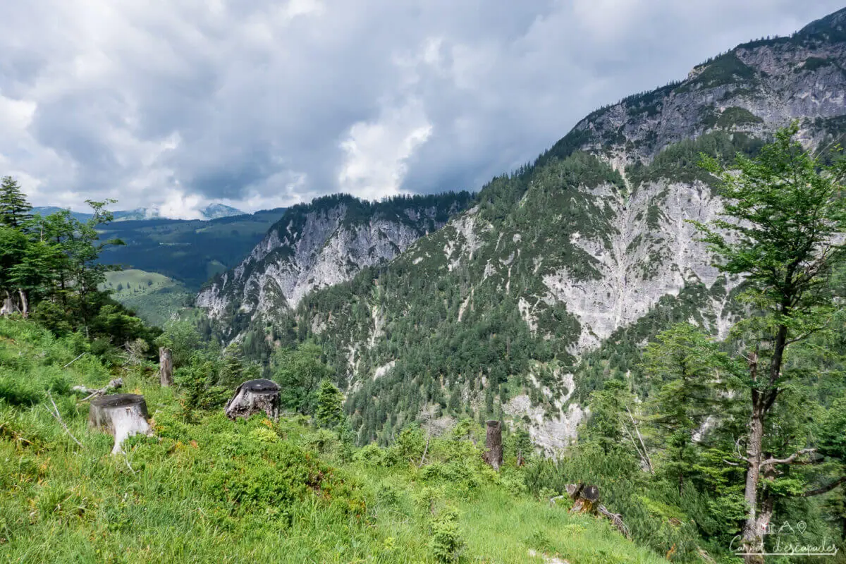 barenpfadkogel