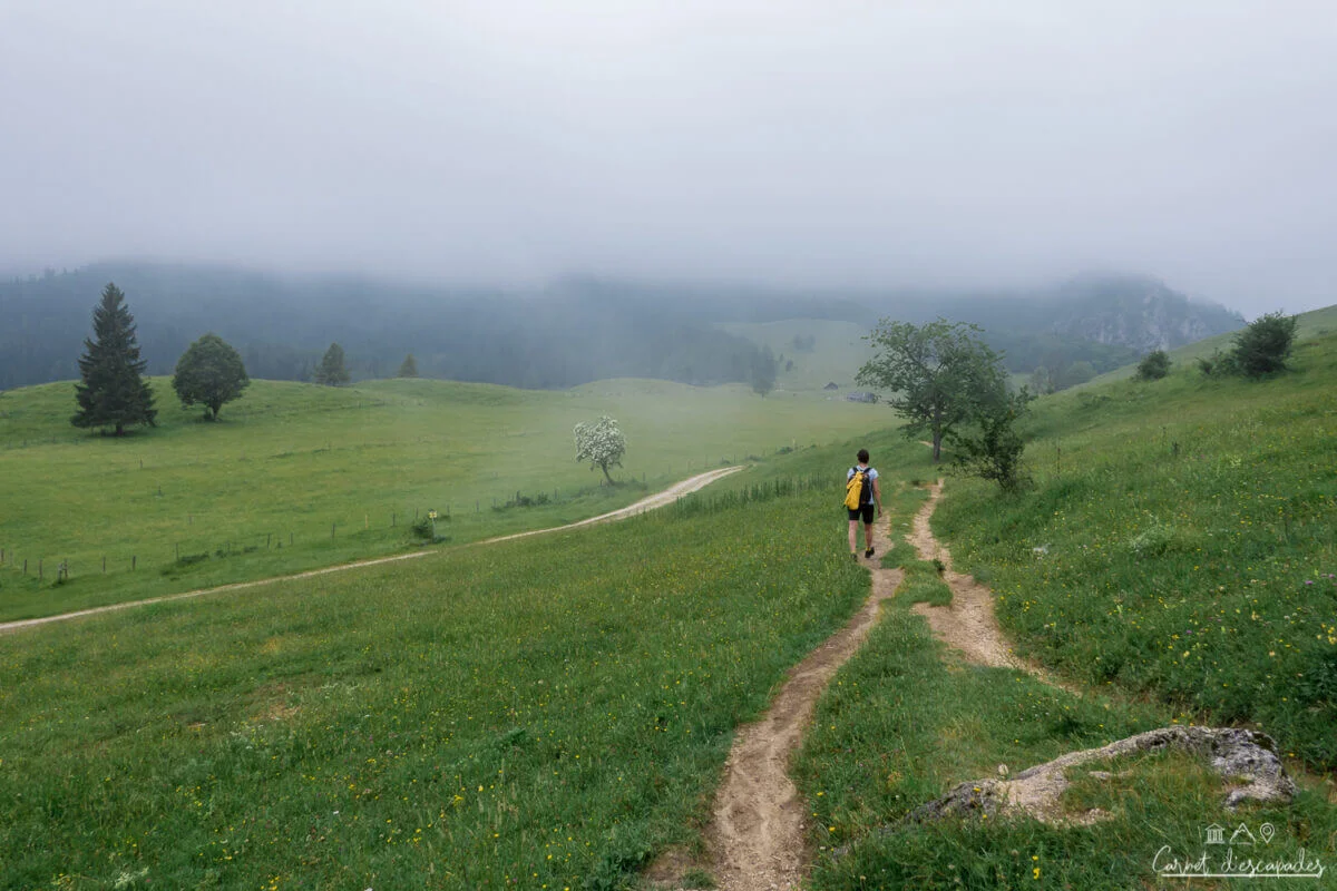 plateau-eisenau-autriche