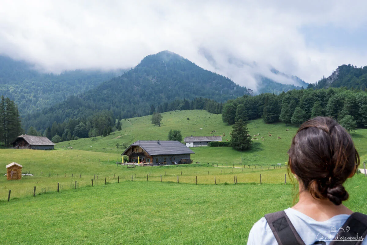 plateau-eisenau-salzkammergut