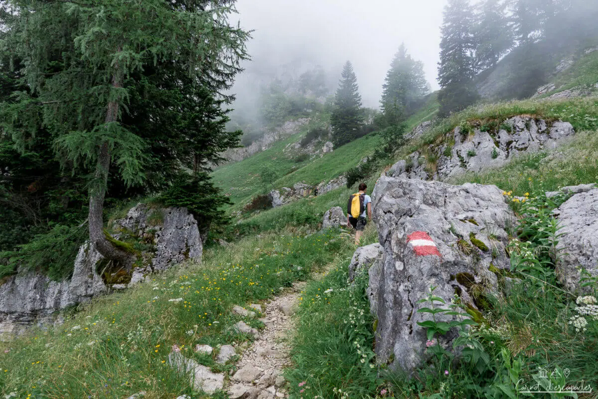 randonnee-schafberg