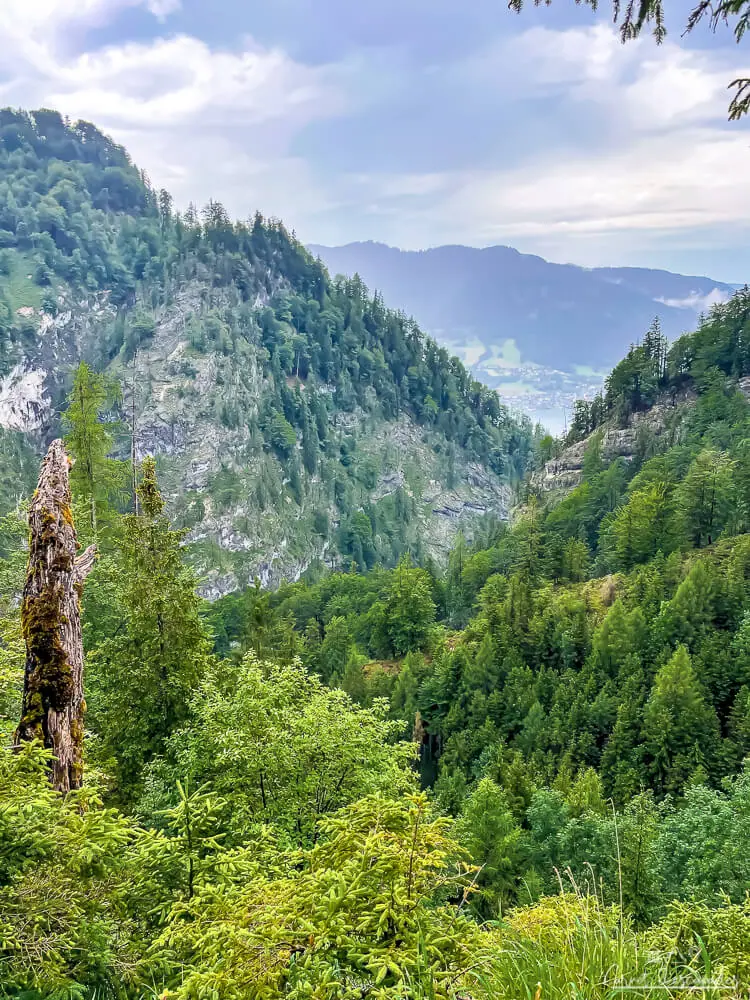 vue-montagnes