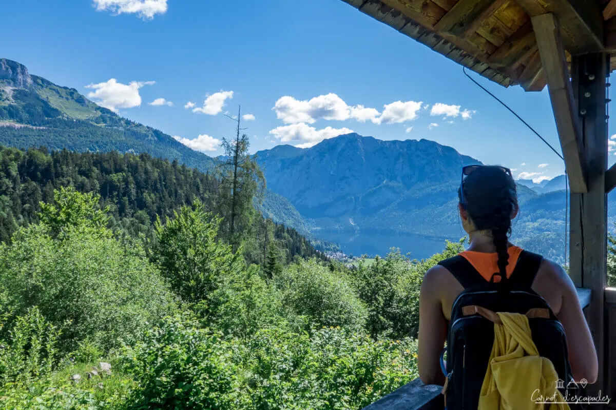 vue-pflindsberg