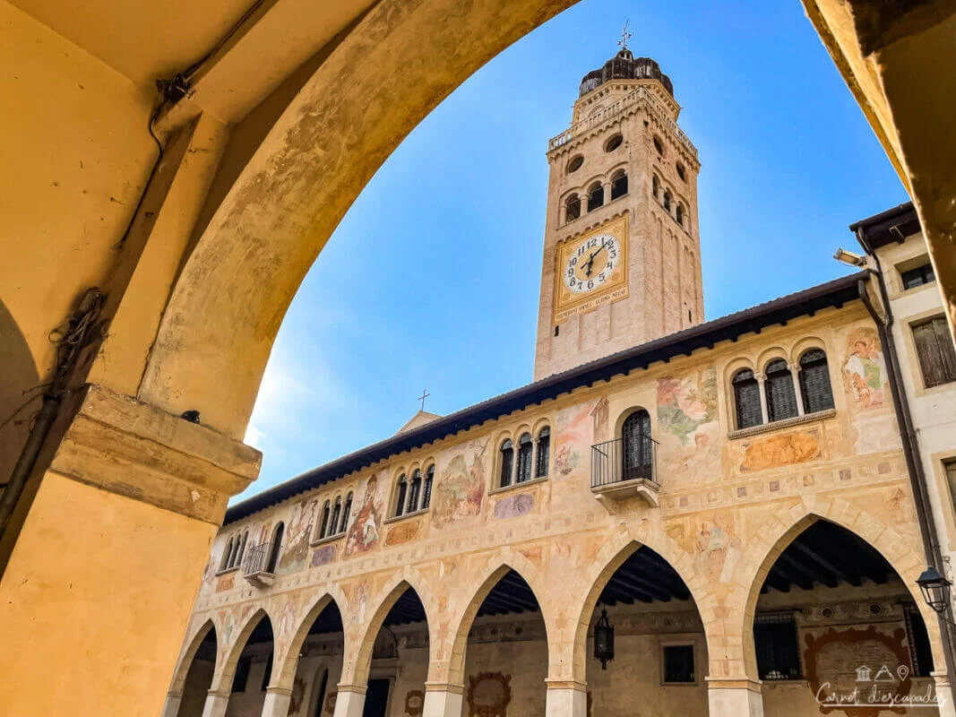 conegliano
