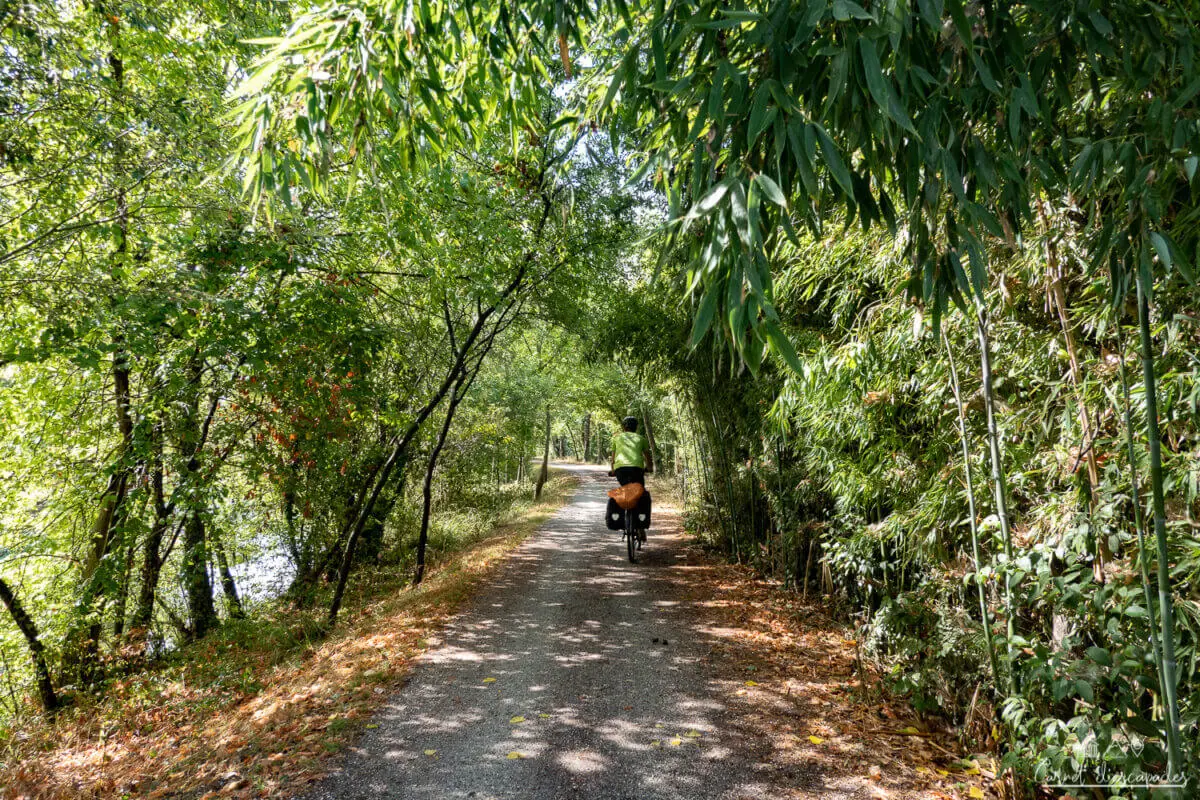 munich-venise-velo-foret