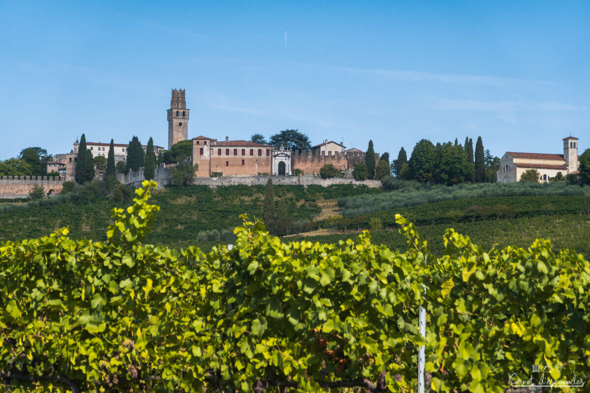 vignoble-italie