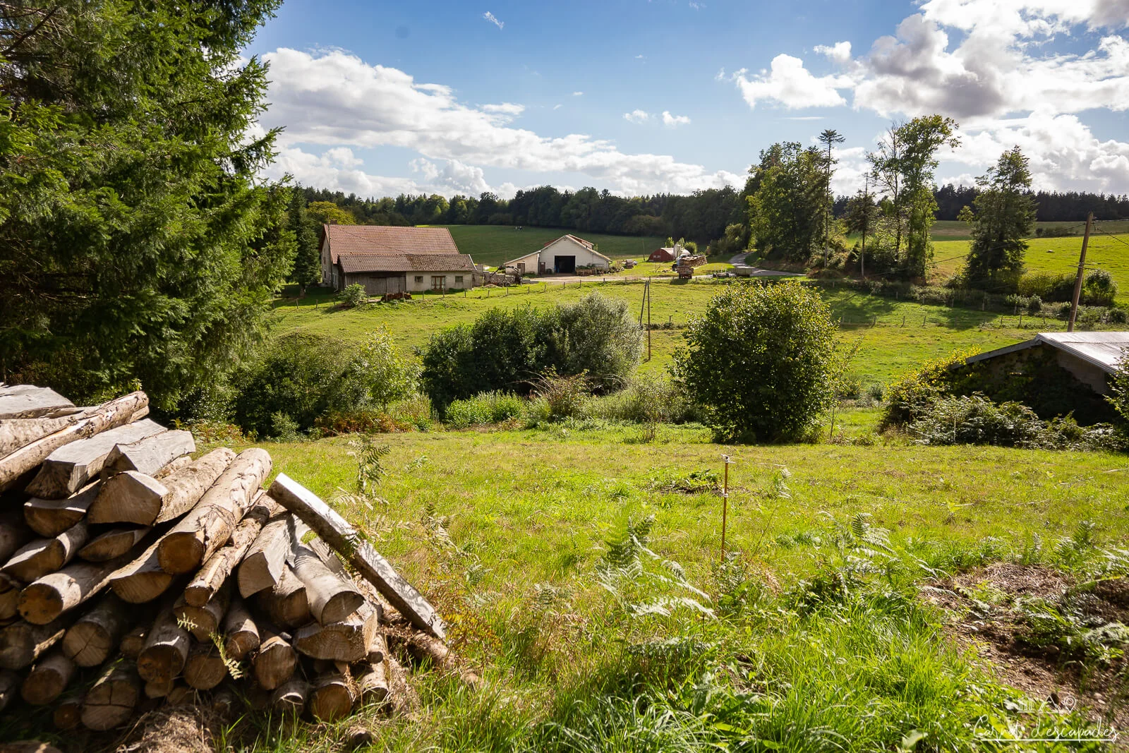 balade-vosges-prairies