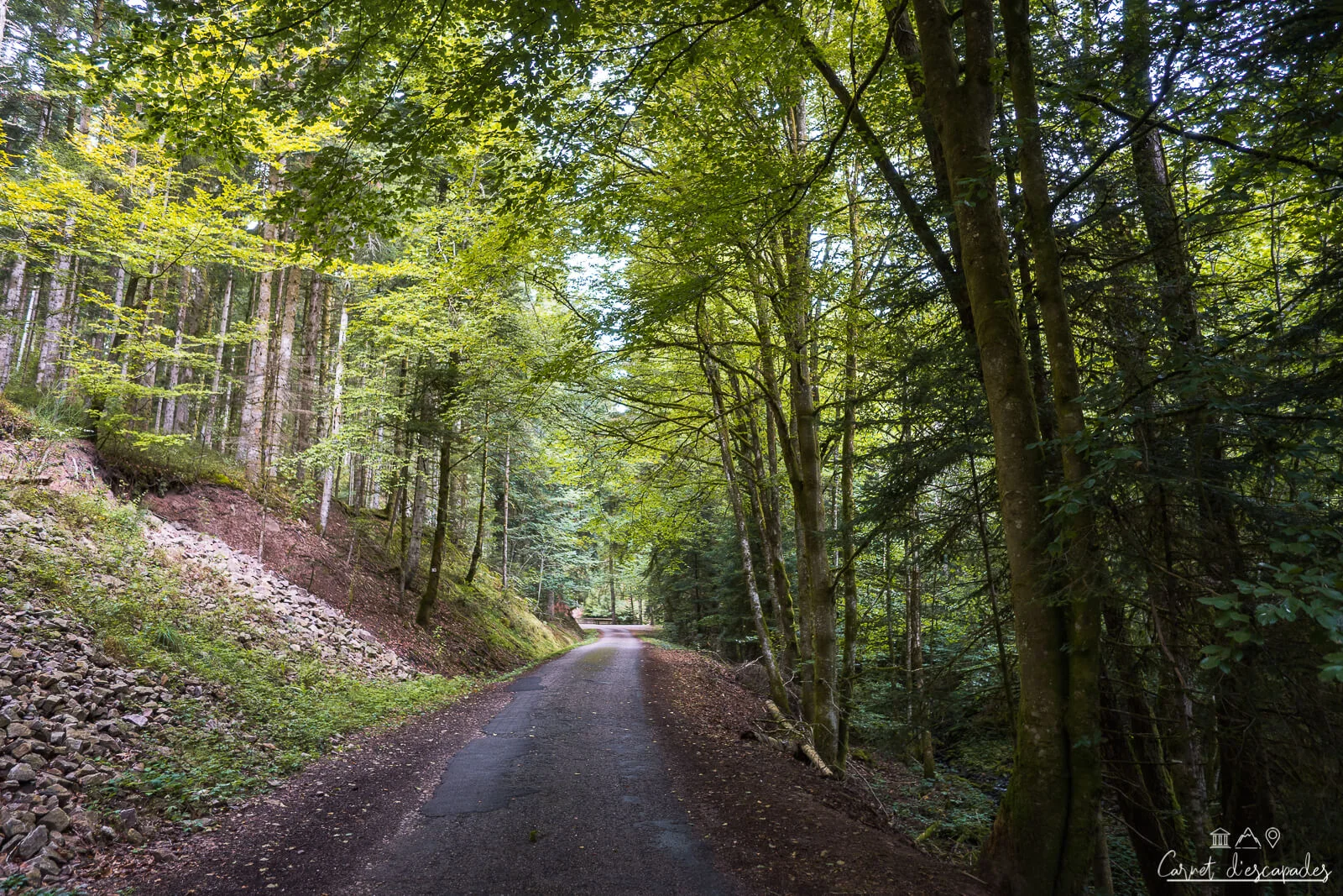 rando-vosges-val-ajol